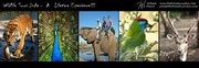 A lifetime Experience - Wildlife India Tours 